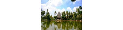 திருக்கொலிலி - ஆவணி விதங்கர் - பிருங்க நடனம்